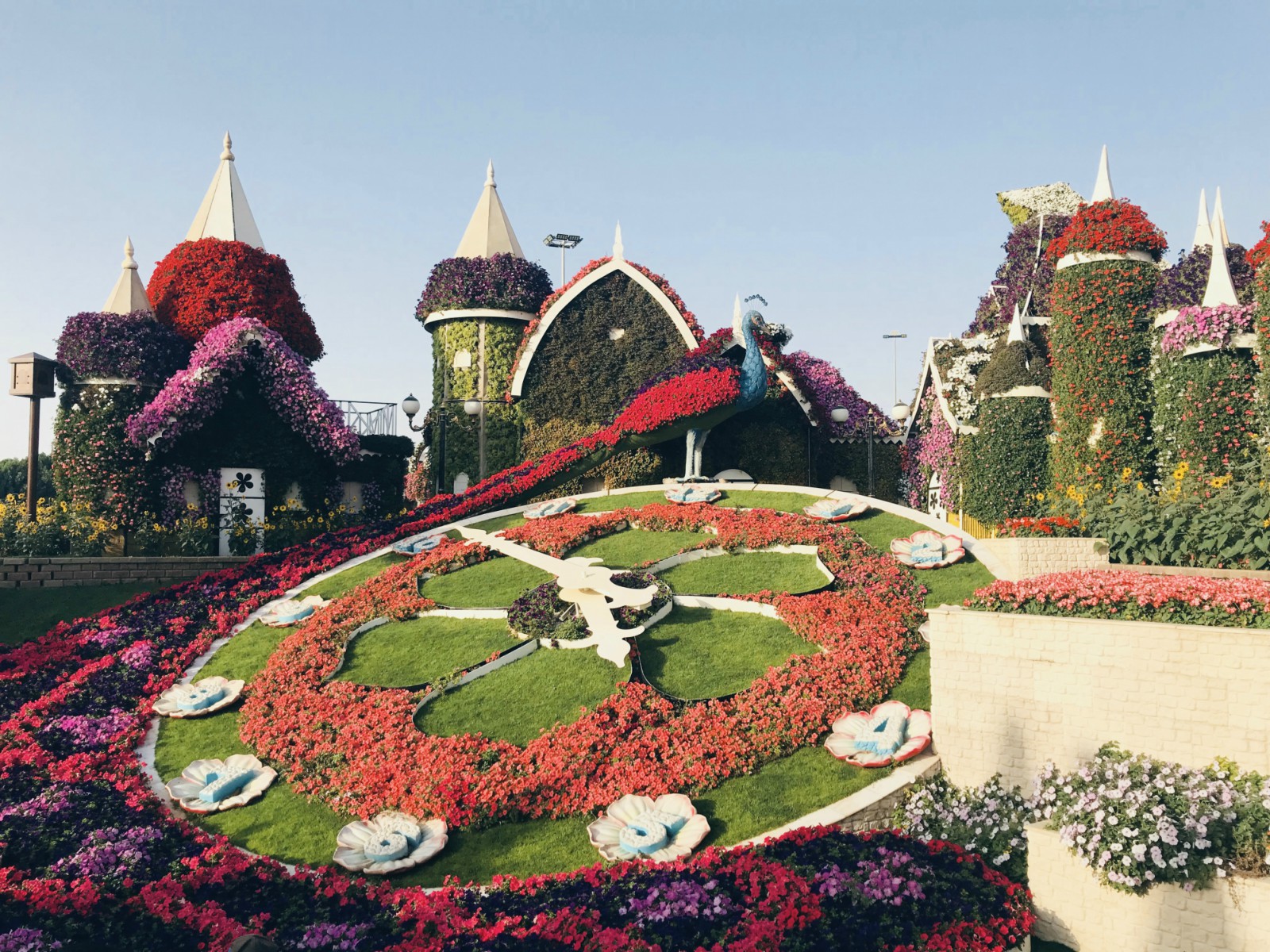 Dovolenka v Dubaji zaujímavosti Miracle Garden